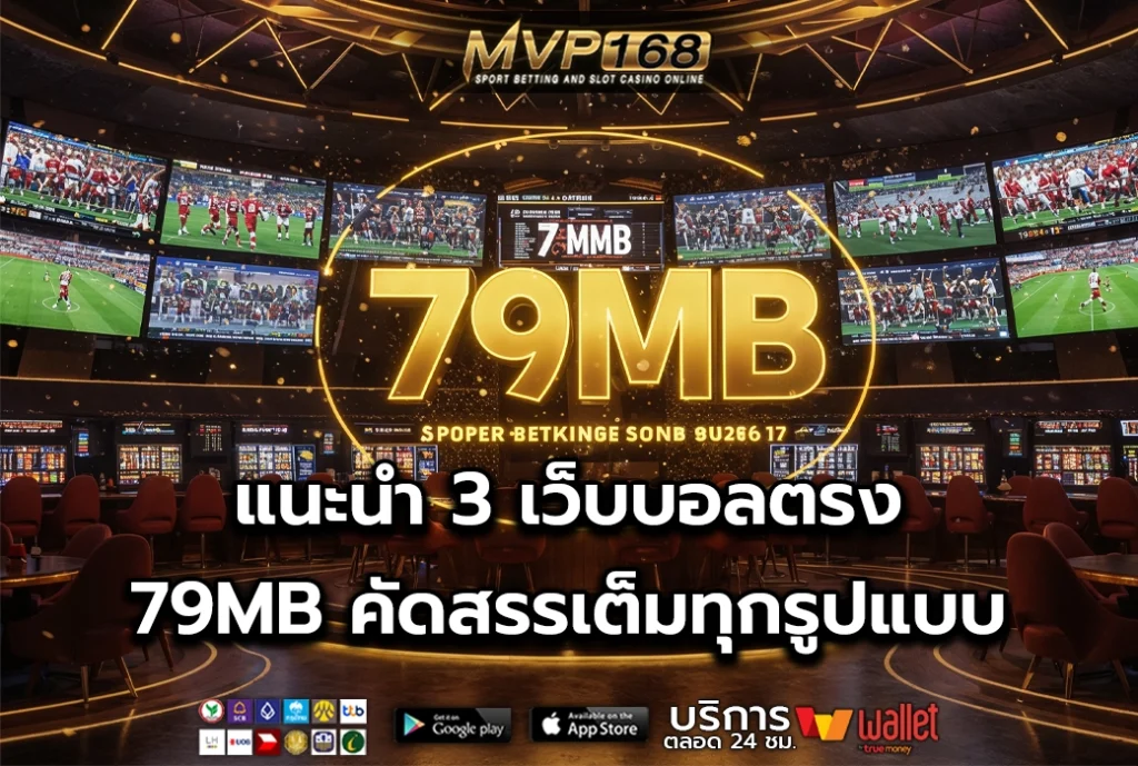 79MB 3
